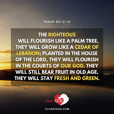 Psalm 92 12 14